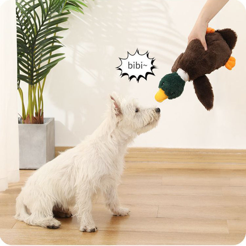 Plush Mallard Duck Dog Toy Plush Squeaky Dog Toy Crinkle Dog Toy Cute Duck Pet Toy for Small Medium Large Pets Stuffed Animals Chew Toy for Biting Training Teething Indoor Pet Interactive Toy