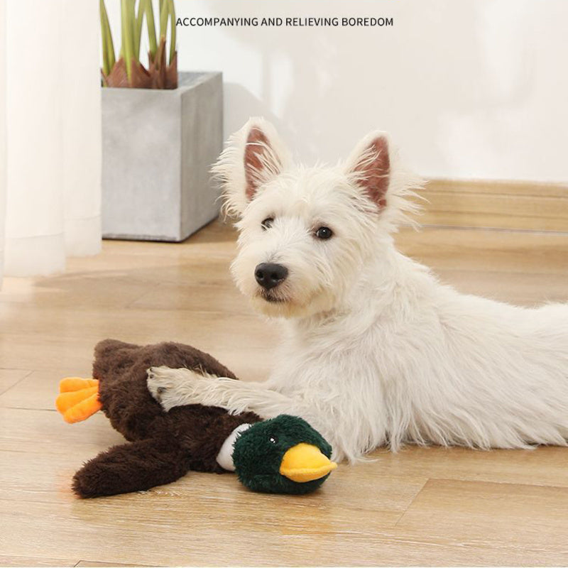 Plush Mallard Duck Dog Toy Plush Squeaky Dog Toy Crinkle Dog Toy  Cute Duck Pet Toy for Small Medium Large Pets Stuffed Animals Chew Toy for Biting Training Teething Indoor Pet Interactive Toy