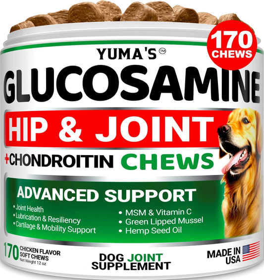 Glucosamine for Dogs Hip and Joint Supplement for Dogs 170 Ct Glucosamine Chondroitin for Dogs Chews Dog Joint Pain Relief with MSM Advanced Dog Joint Supplement Health