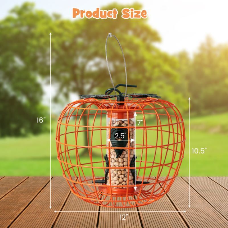 Hanging Squirrel-Proof Bird Feeder with Cage