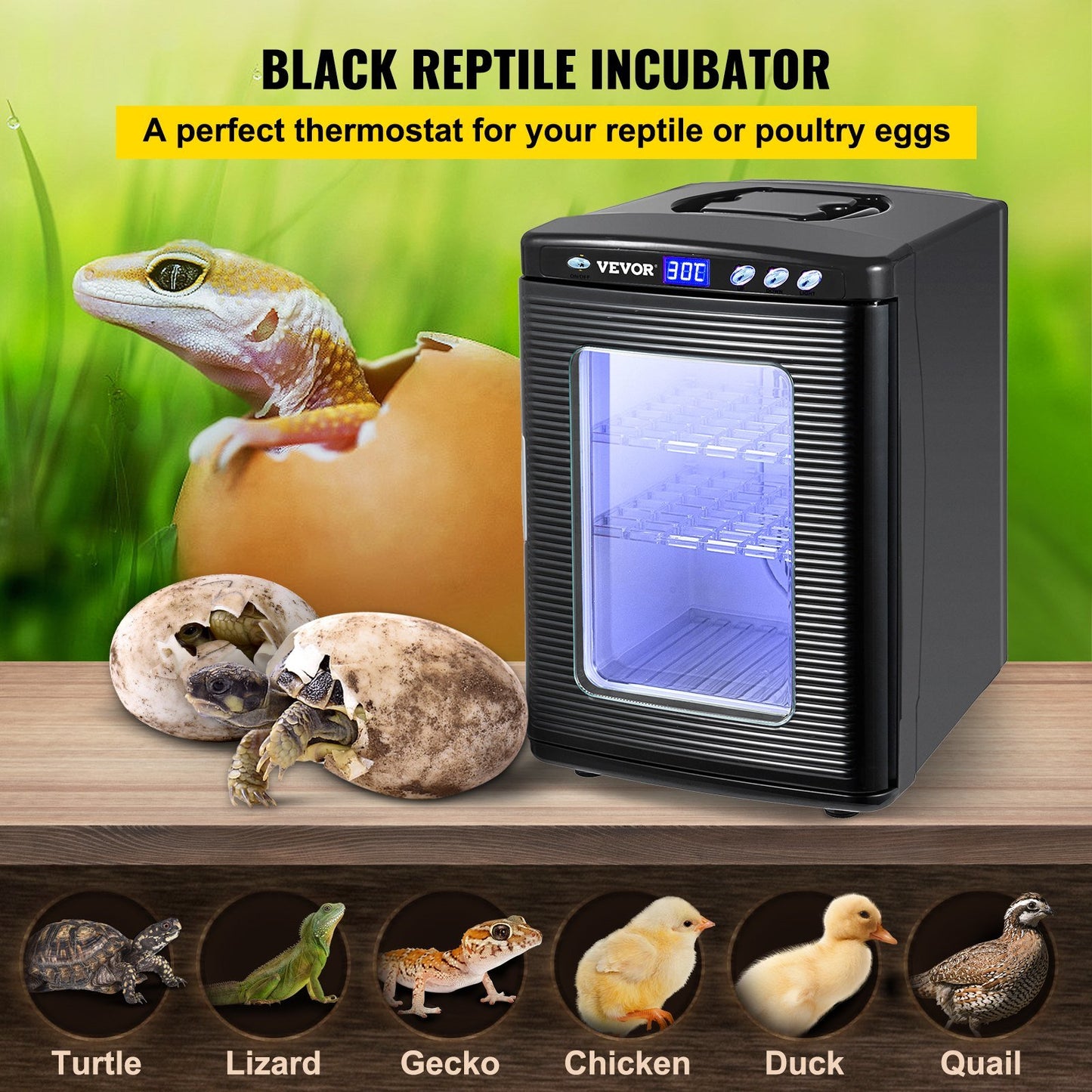 VEVOR Black Reptile Incubator 25L Scientific Lab Incubator Digital Incubator Cooling and Heating 5-60°C Reptile Egg Incubator 12V/110V Work for Small Reptiles